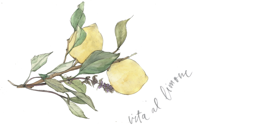 Watercolor and pencil illustration of two lemons on a branch with a sprig of basil; hand lettering in pencil reads vita al limone.