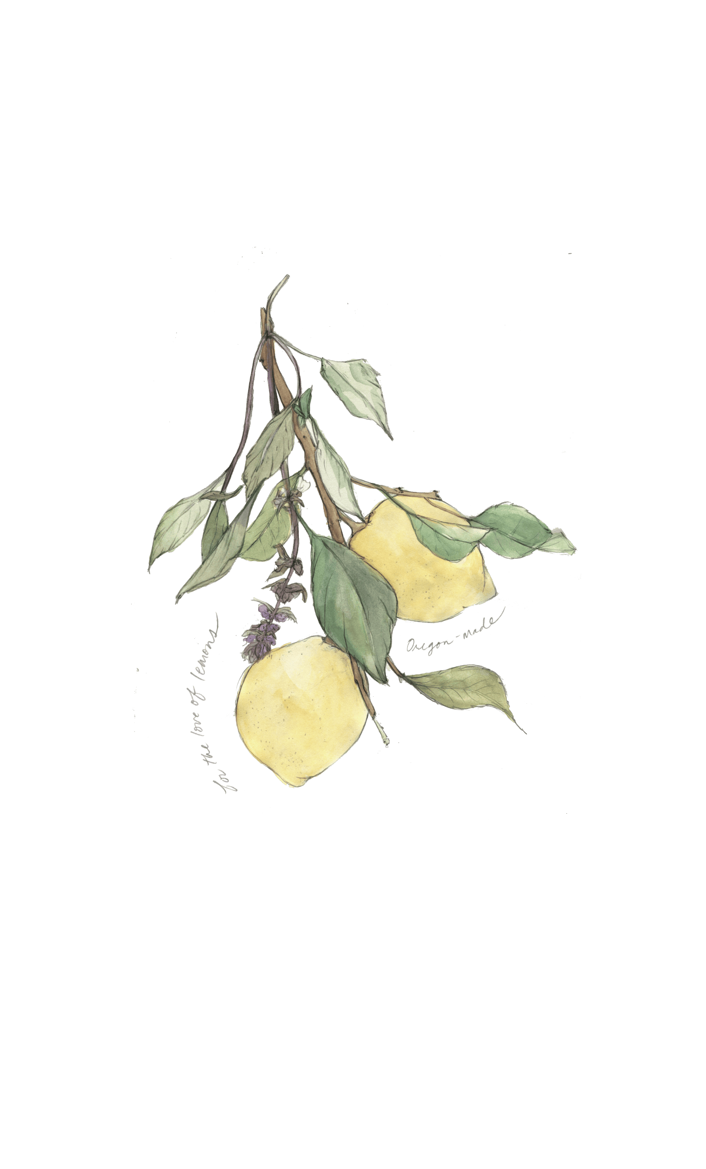 Watercolor illustration of two lemons and a sprig of basil, with hand-written text in pencil that reads Oregon-made, and for the love of lemons.